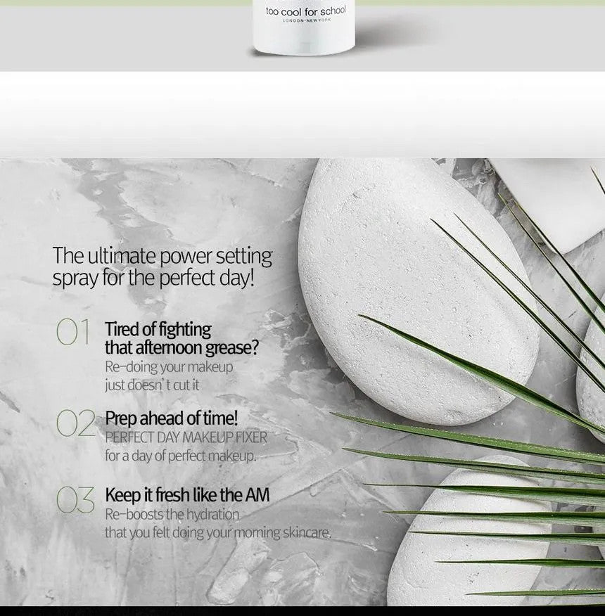 PERFECT DAY MAKE UP FIXER