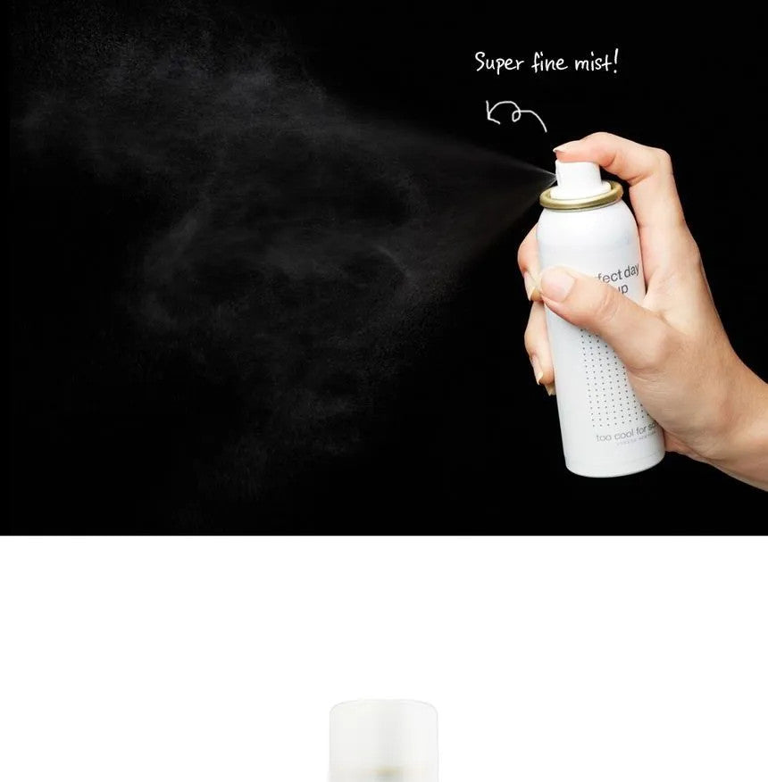 PERFECT DAY MAKE UP FIXER